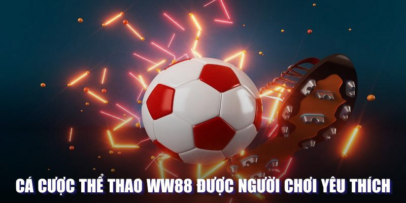 Khái quát chuyên mục thể thao hấp dẫn tại WW88 